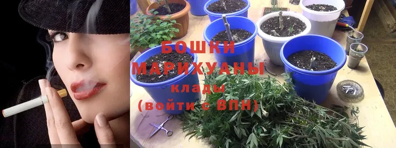 Конопля White Widow  наркошоп  Котельнич 